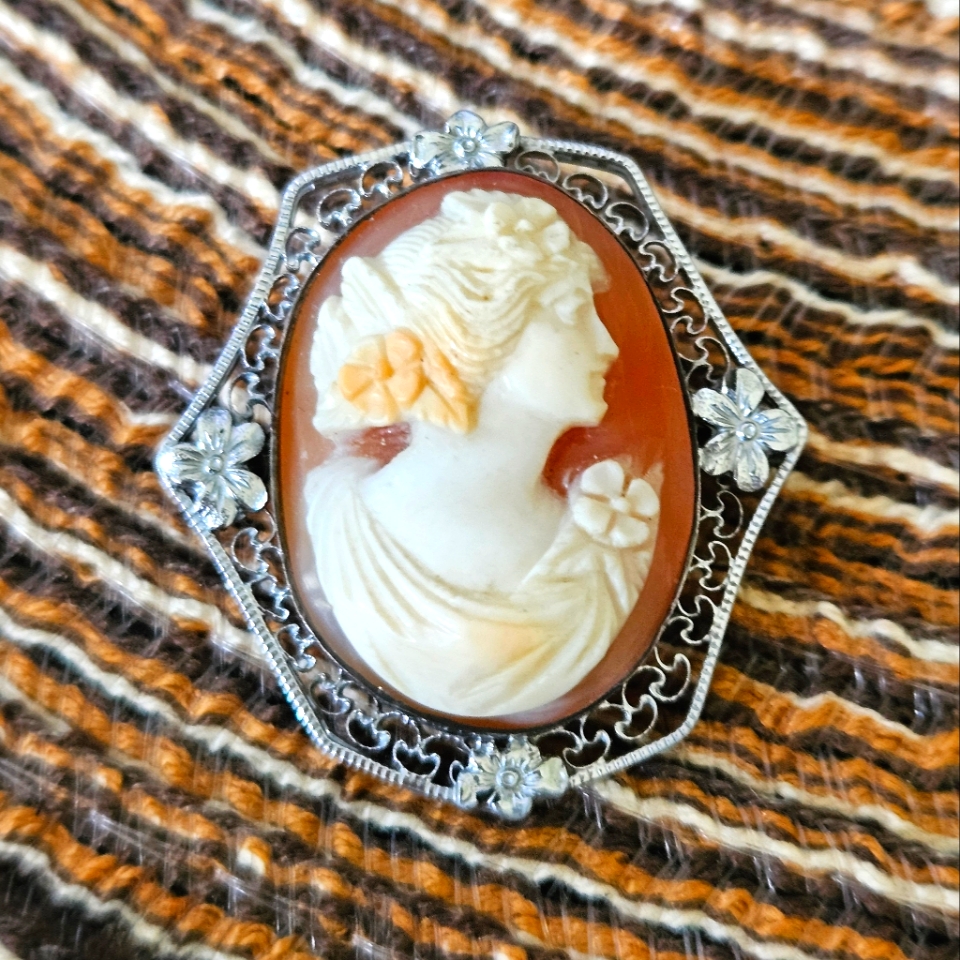 Amazing Vintage 10k White Gold Cameo Brooch